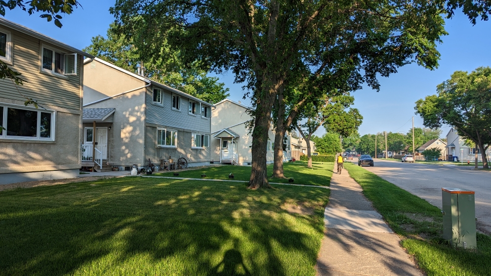 A series of duplees along a street, with green lawns and green trees, during the morning. 