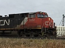 CN train by grain terminal