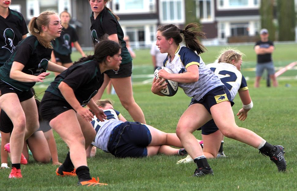 Avari Horvath Cochrane rugby