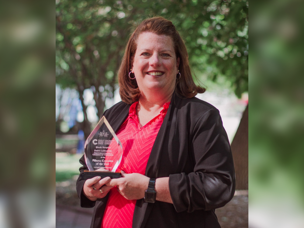 Dawn LeMaistre has been named the Alberta Chamber Executive of the Year for 2025.