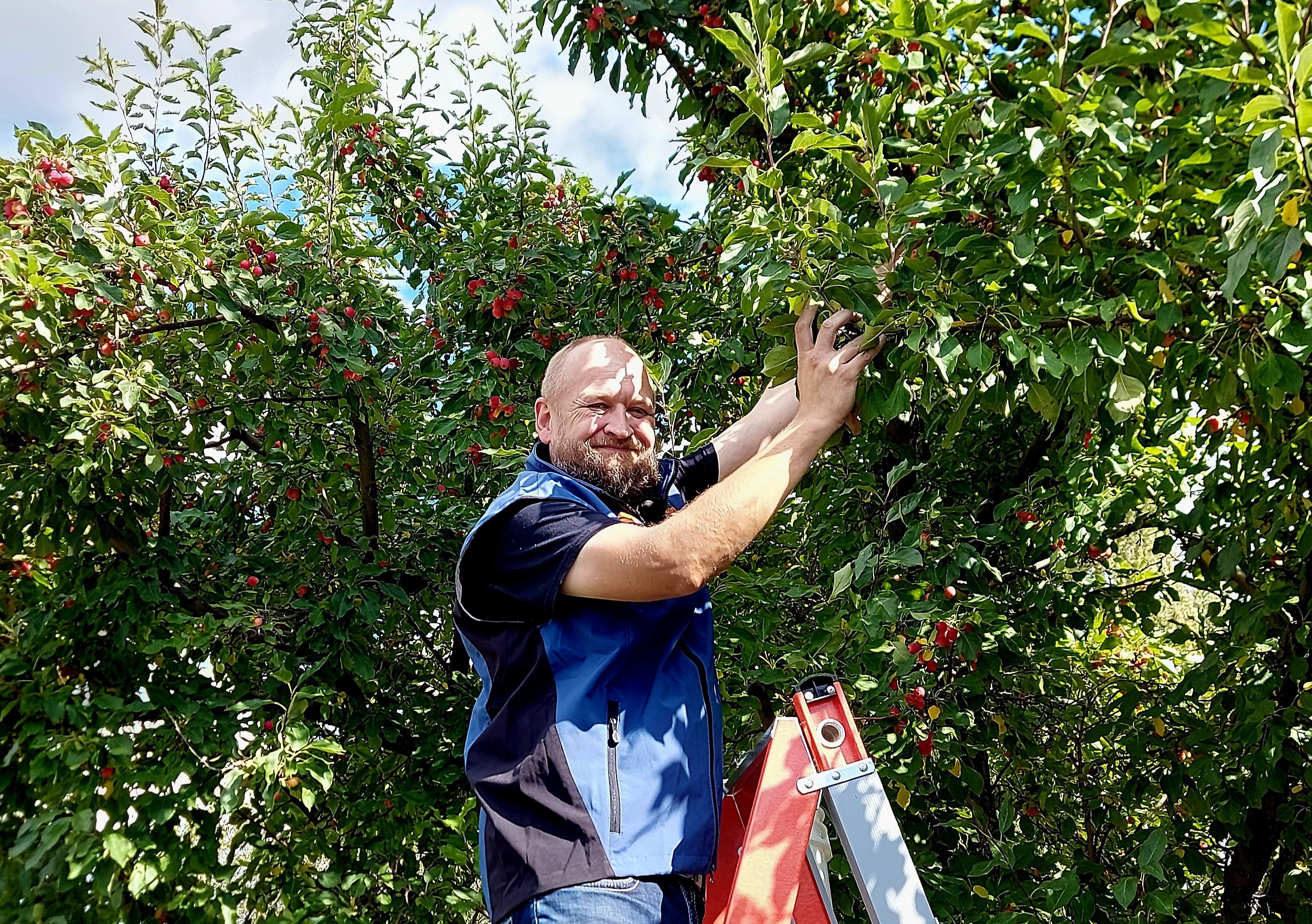 Hendrick Bösch picking fruit