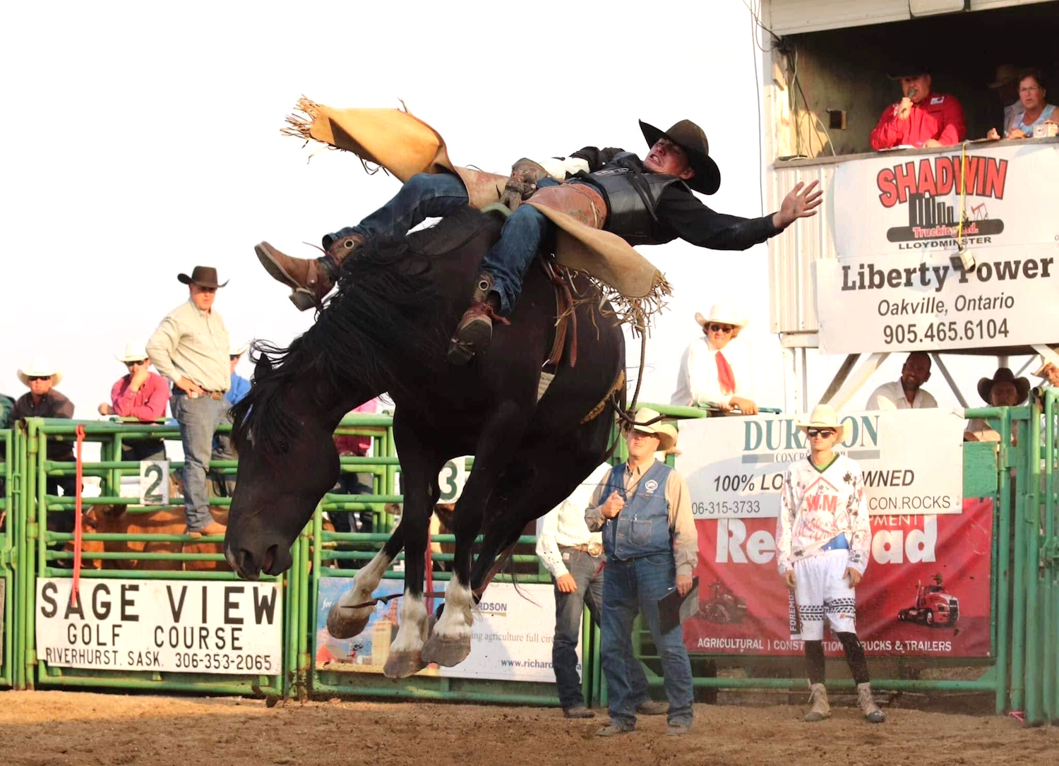 herbert stampede 1