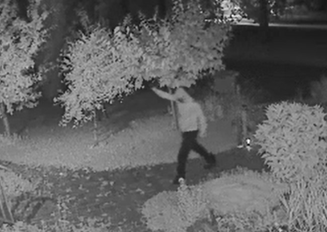 Security footage of the suspect.