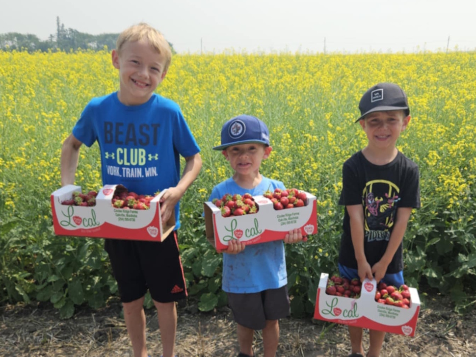 Three children sit in a strawberry field at Coulee Ridge Farms, smiling with full baskets of freshly picked strawberries.
