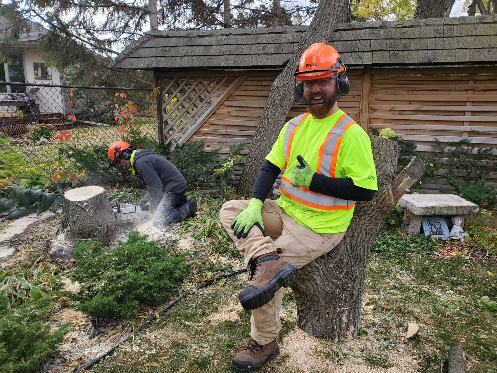 an arborist uses a chainsaw on a tree stump in the background, while another sits on a stump in the foreground and gives a thumbs up