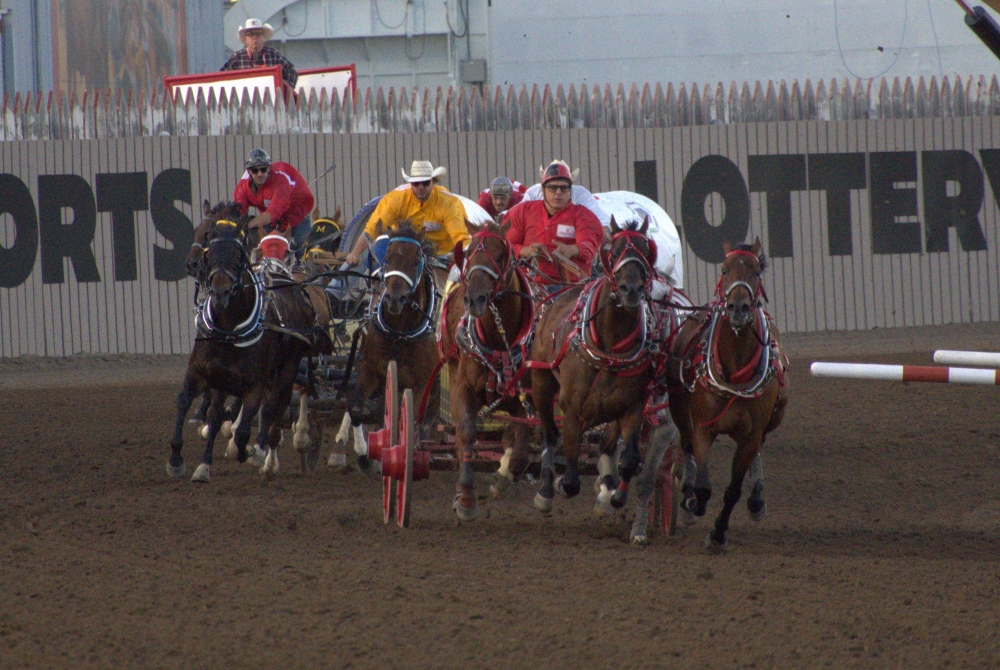 The chuckwagons are coming to High River this weekend for the Battle of the Foothills running from Thursday to Sunday. Okotoks Online/Harrison O'Nyons