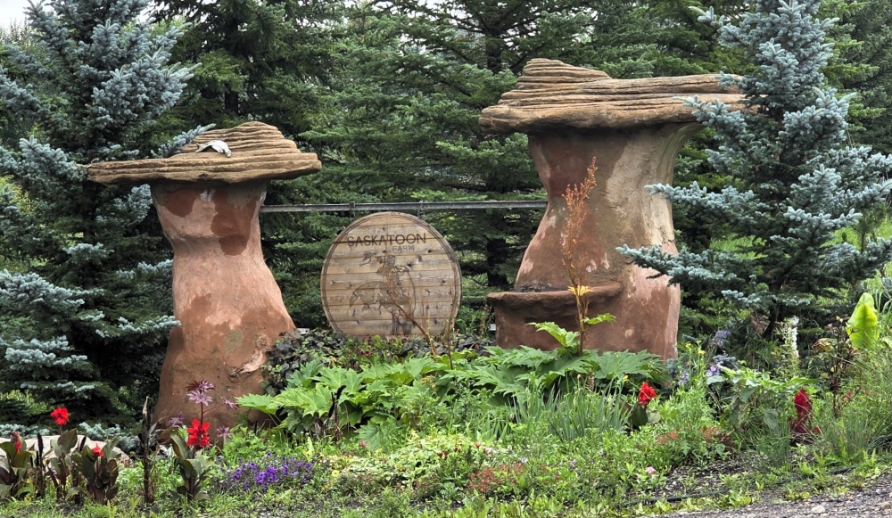 The Saskatoon Farm in Foothills County