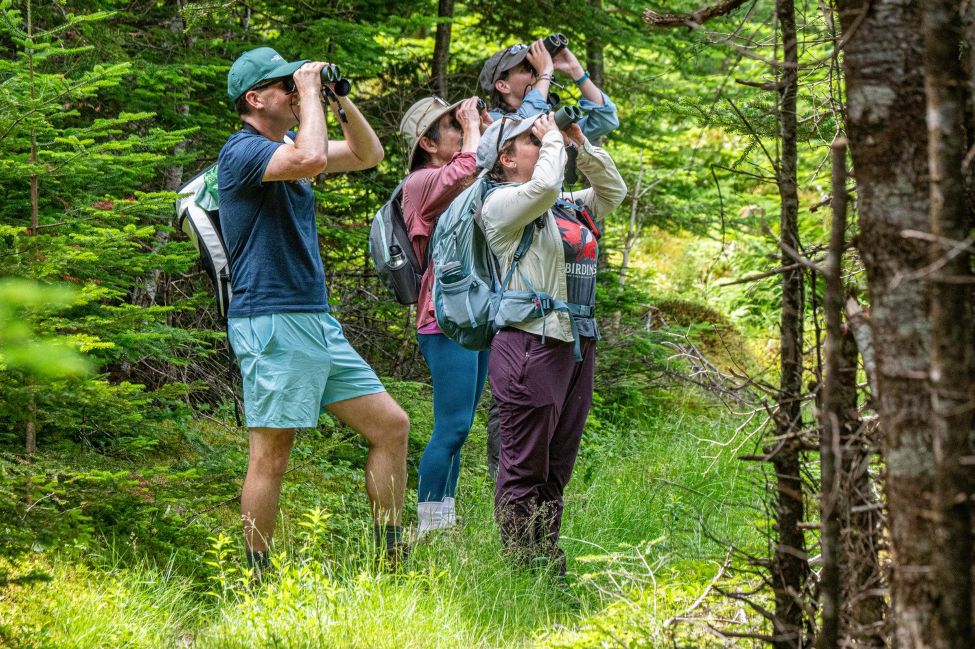 a family is using binoculars to search for wildlife