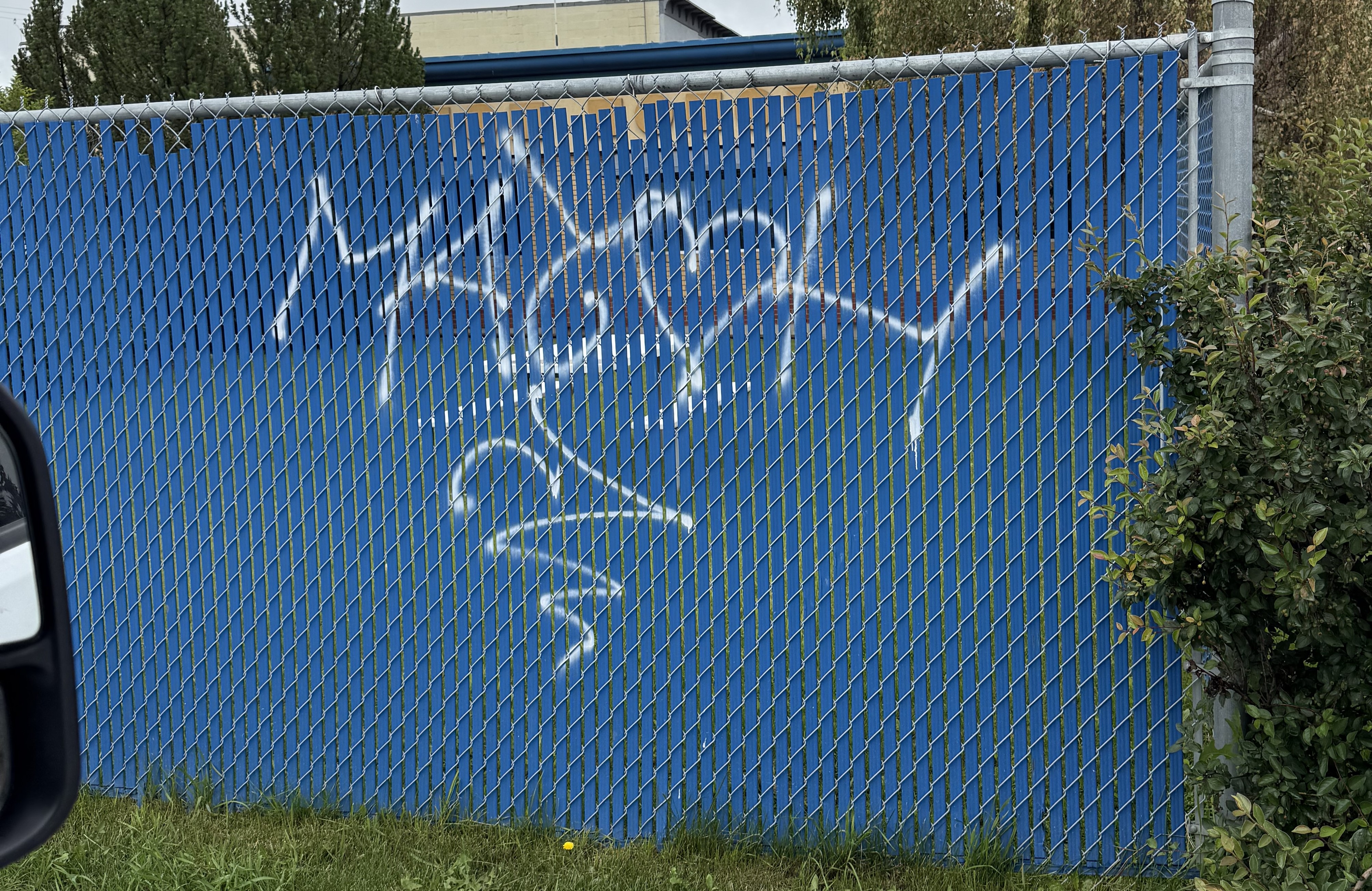 Vandalism spree
