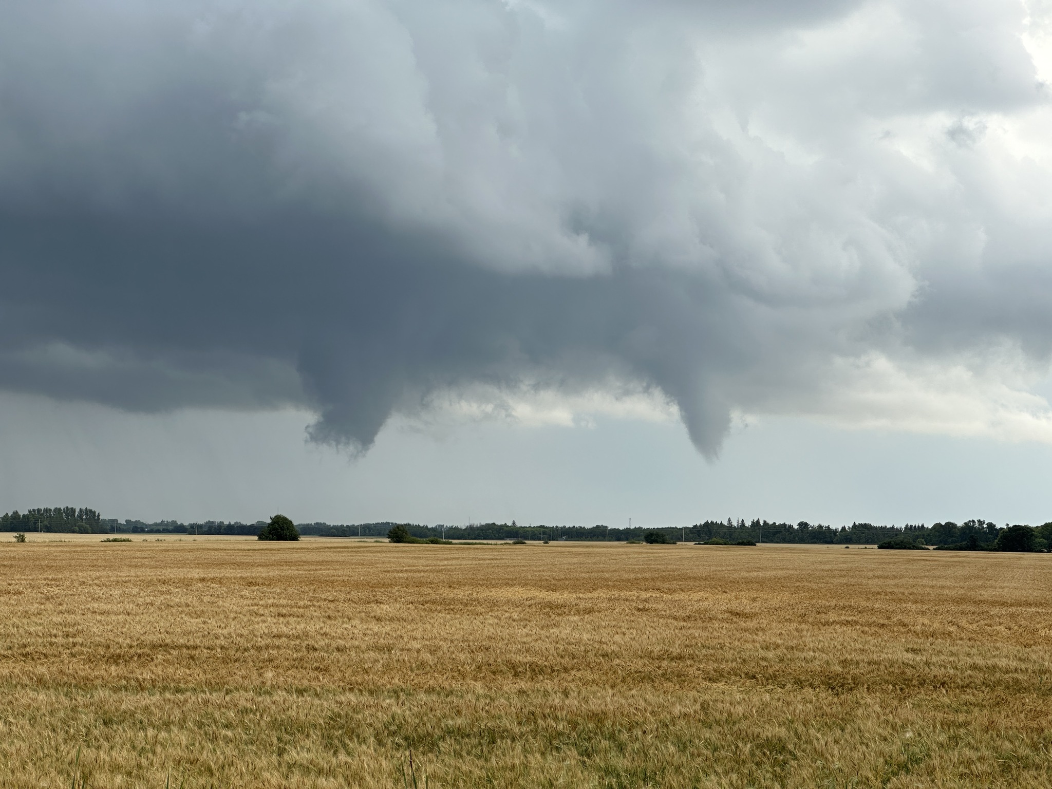 Vince Chan captured these funnel clouds on Aug. 6, 2025, along Garven Road, just east of Vernon Road, at 5:35 p.m. Investigators have now confirmed that a tornado did touch down in the area, along with another. (Northern Tornadoes Project)