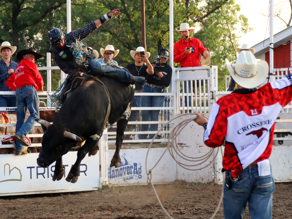 Bull rider hanging on as the bull jumps