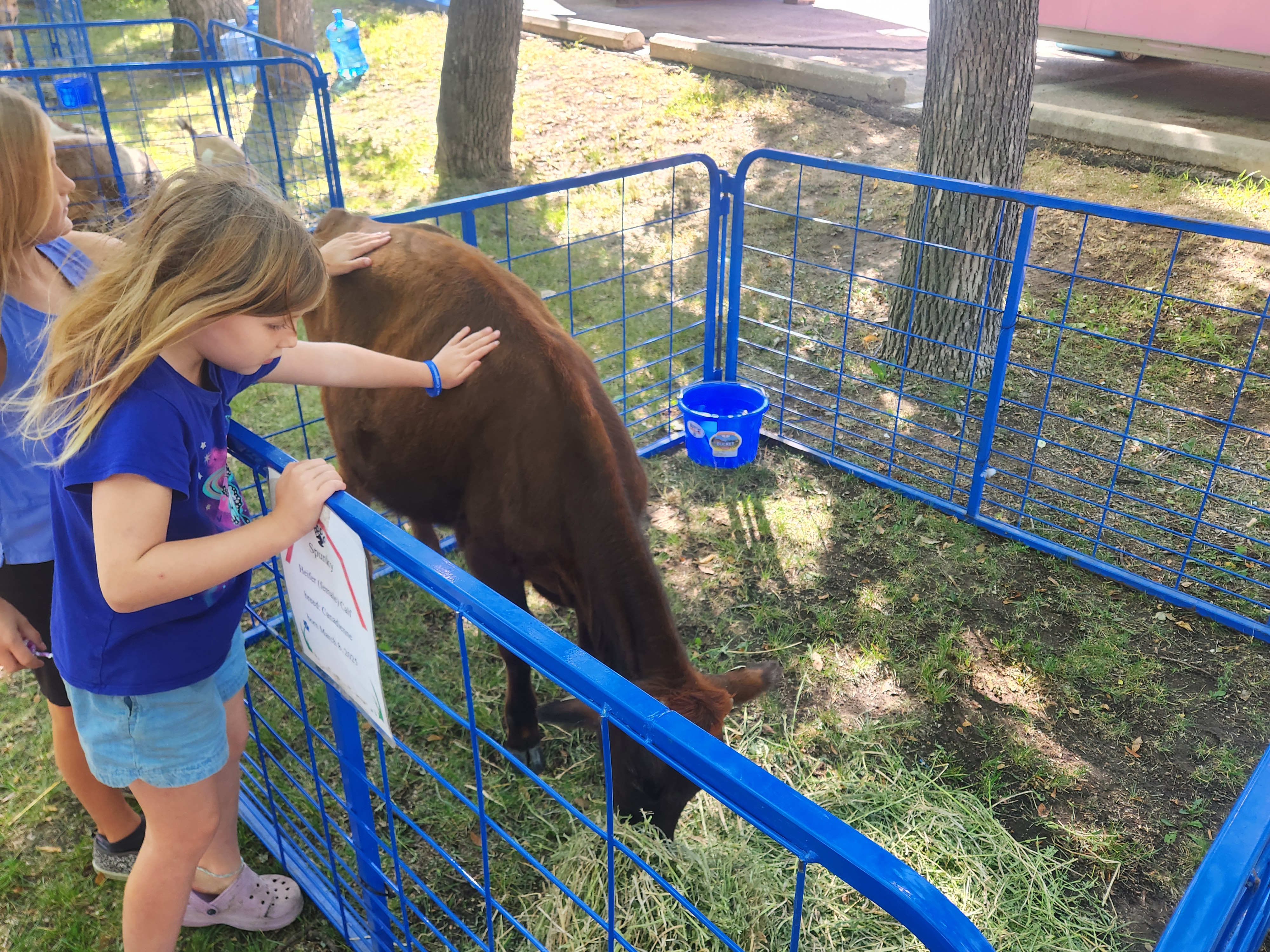 Petting Zoo made a wonderful addiition to the activites under the shade.