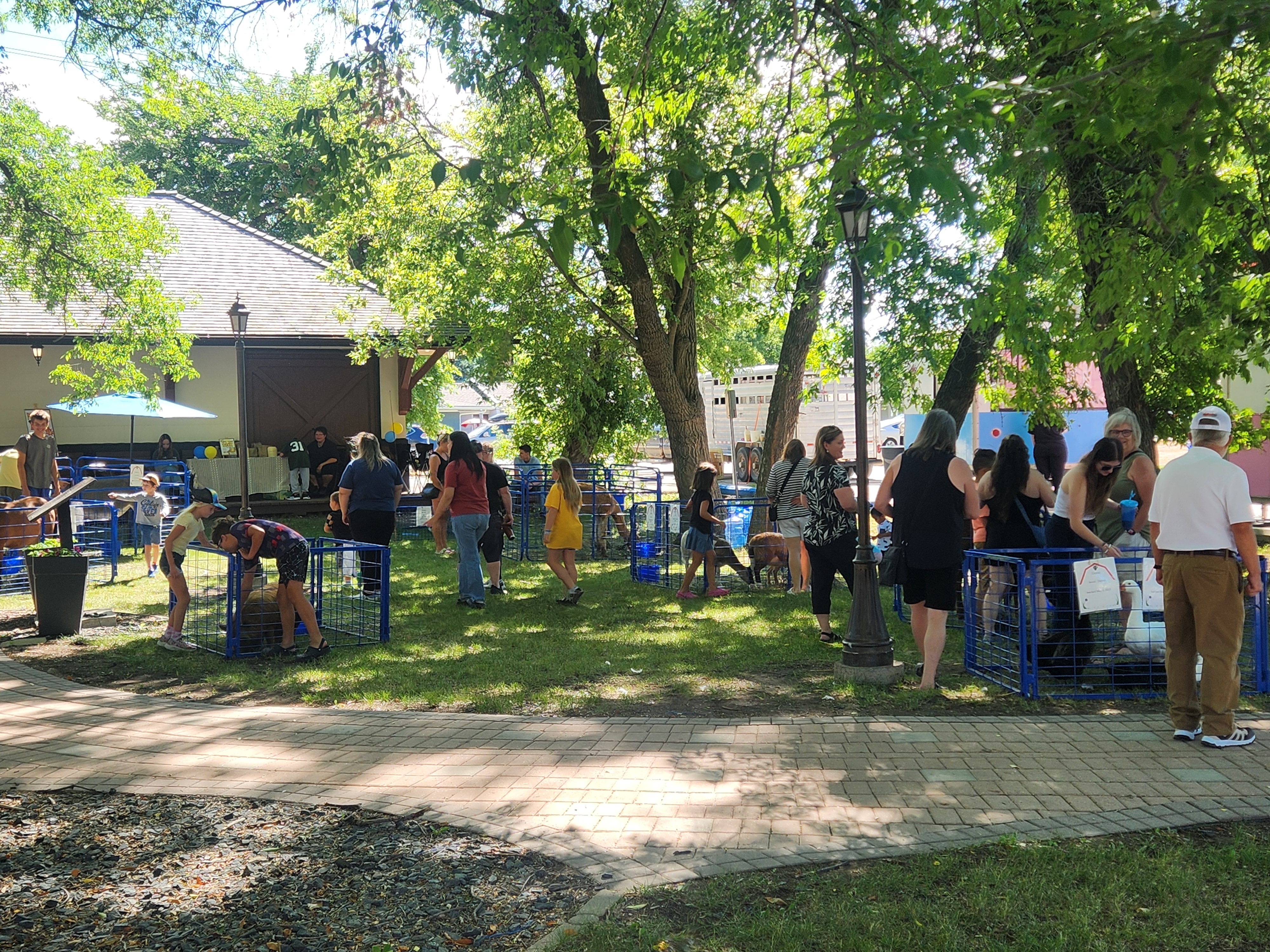 People gathered in the shade for magic, music and animals during the day.