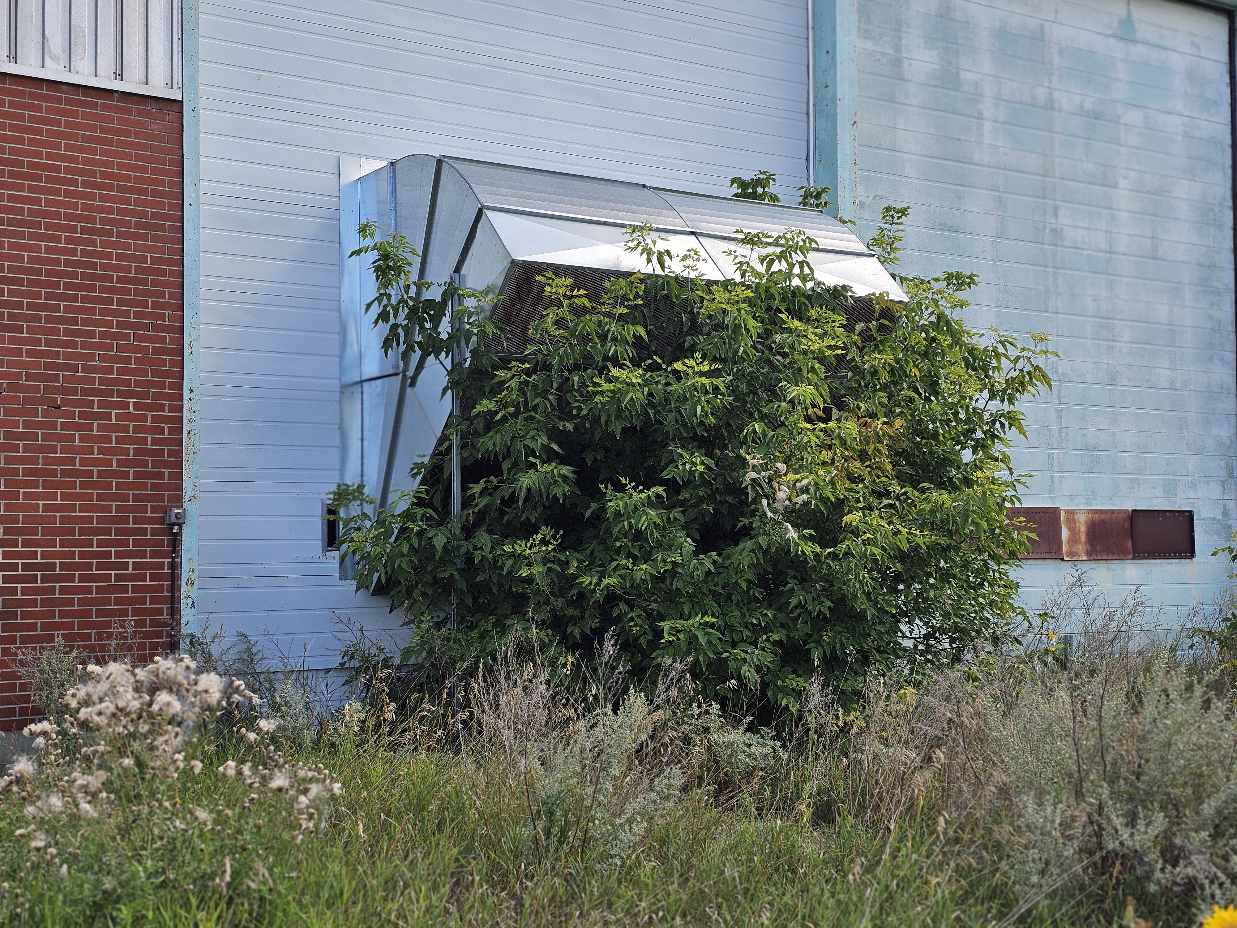 Photos of the old Campbell's Soup Factory in Portage la Prairie, currently in disrepair. (3) PORTAGEONLINE / TYLOR BAER