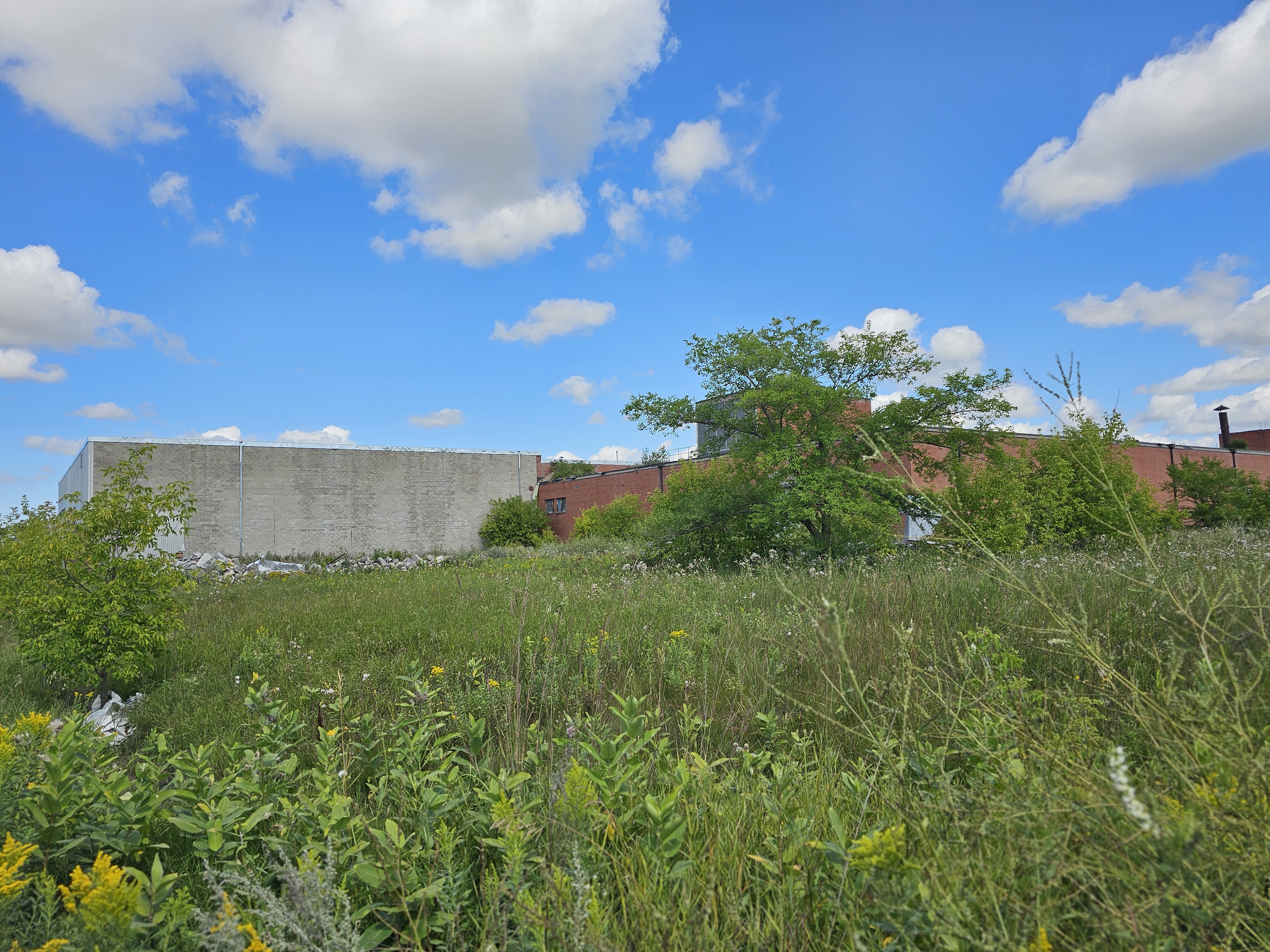 Photos of the old Campbell's Soup Factory in Portage la Prairie, currently in disrepair. (4) PORTAGEONLINE / TYLOR BAER