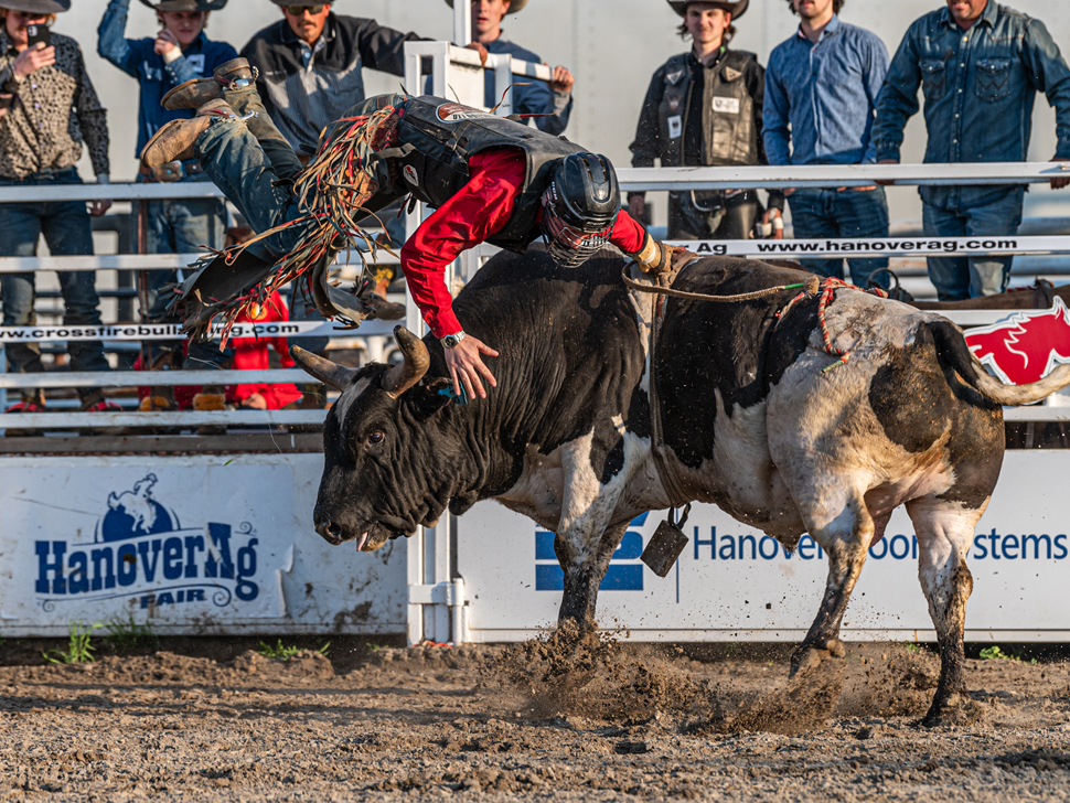 a man is lifted into the air by a large bull