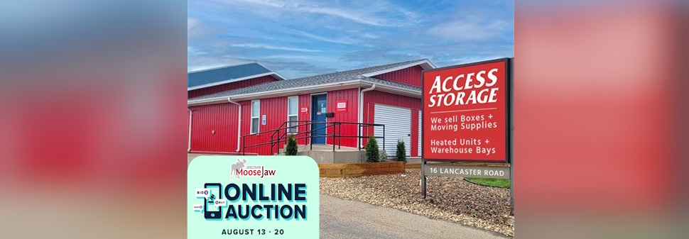 81825 dmj online auction.jpg