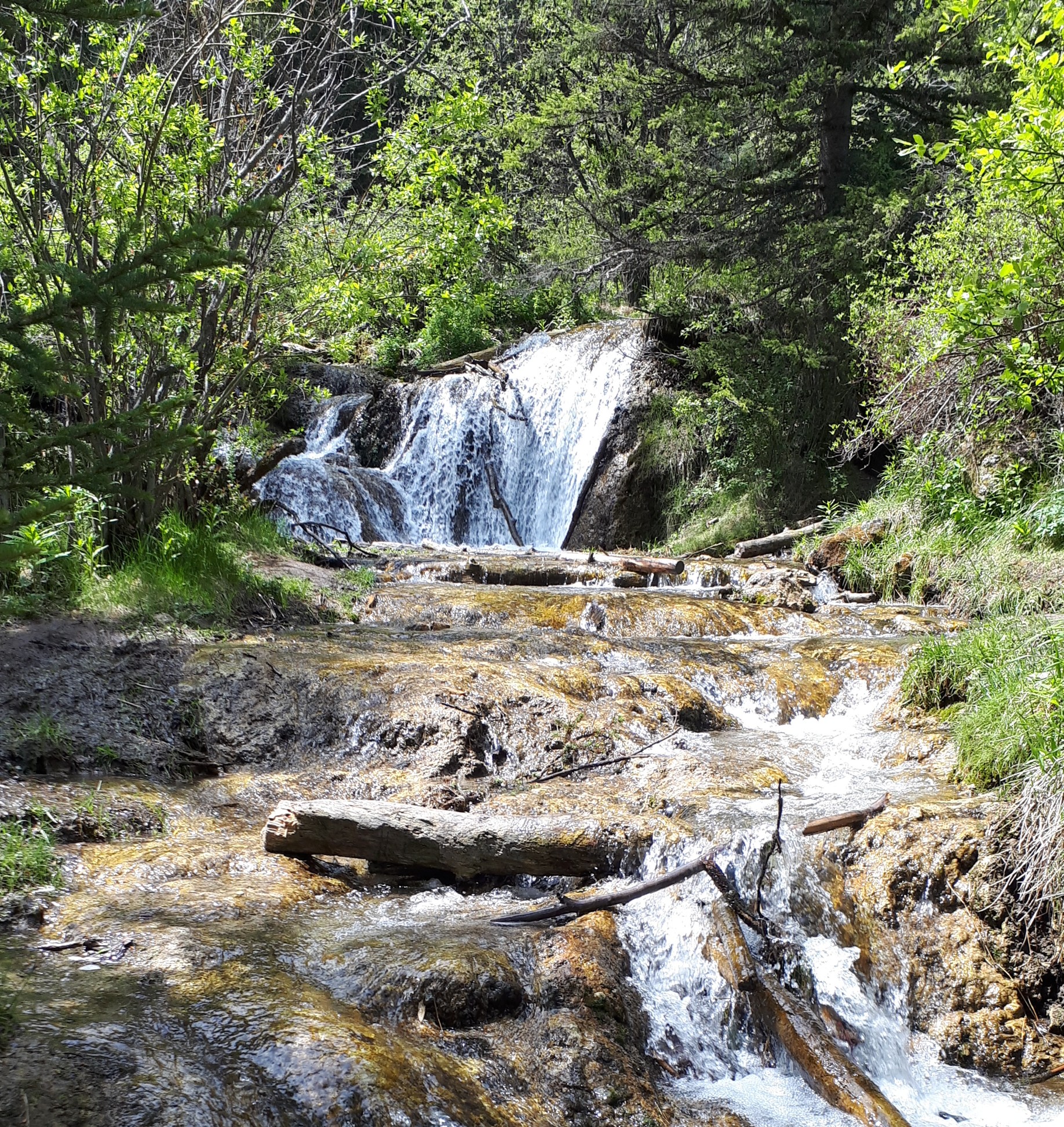 Big Hill Springs Provincial Park, about 30 kilometres west-southwest of Airdrie, located 10 kilometres north of Cochrane, has been named one of Canada’s 45 “hidden gem” parks in a new list released by the Canadian Parks and Wilderness Society (CPAWS). Photo / Carolyn Bouwsema 