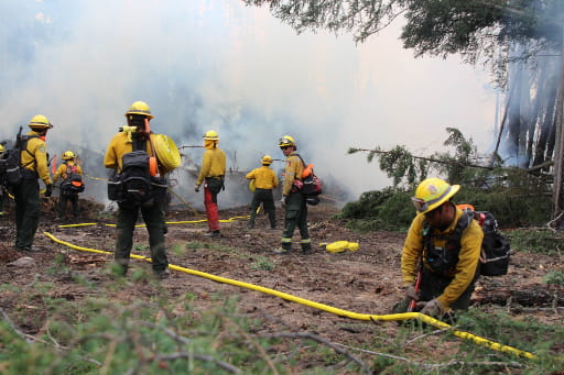 wildfire