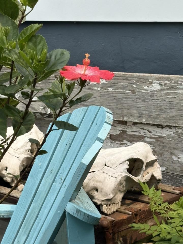 Celebrate Summer Week 7