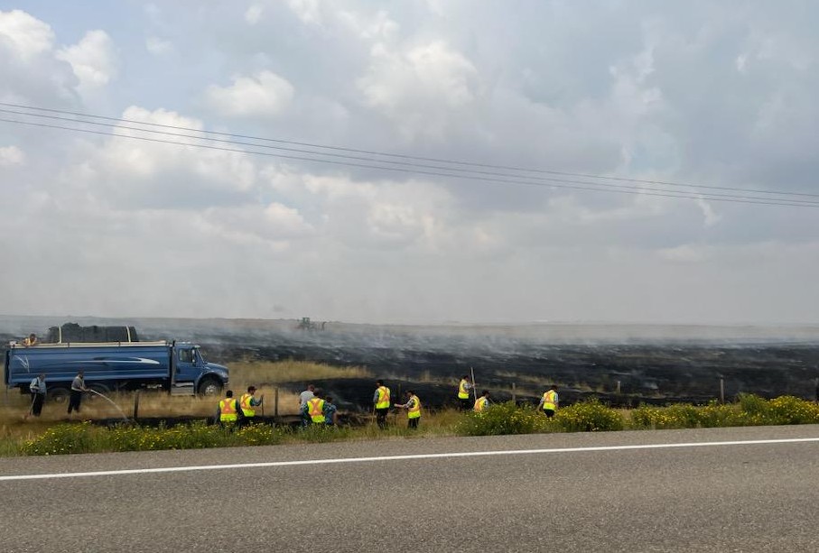 Field Fire Kirsty Hanson Aug7_2024