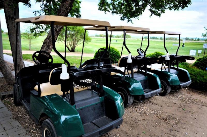 Golf Carts