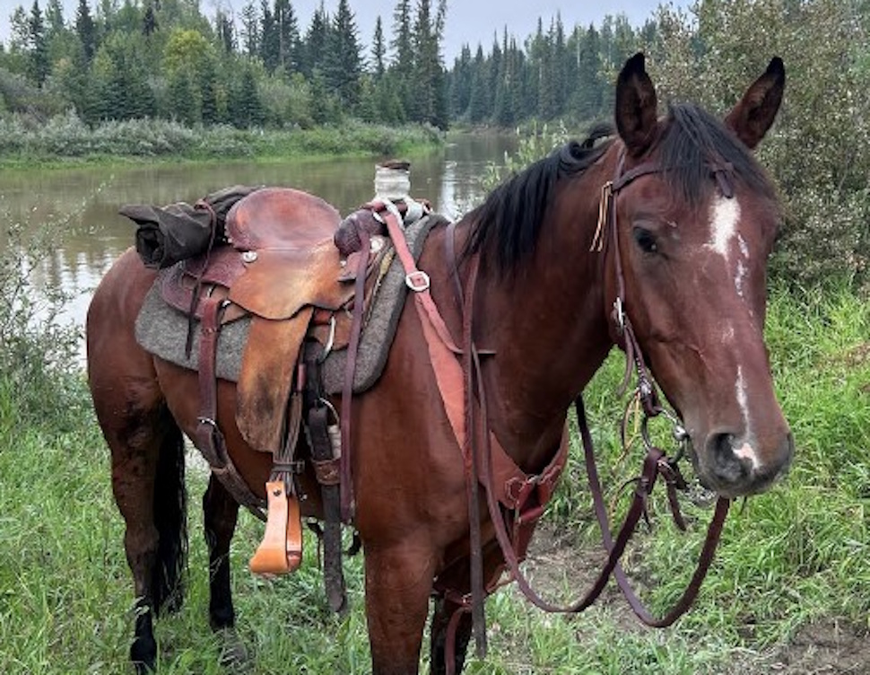 rcmp