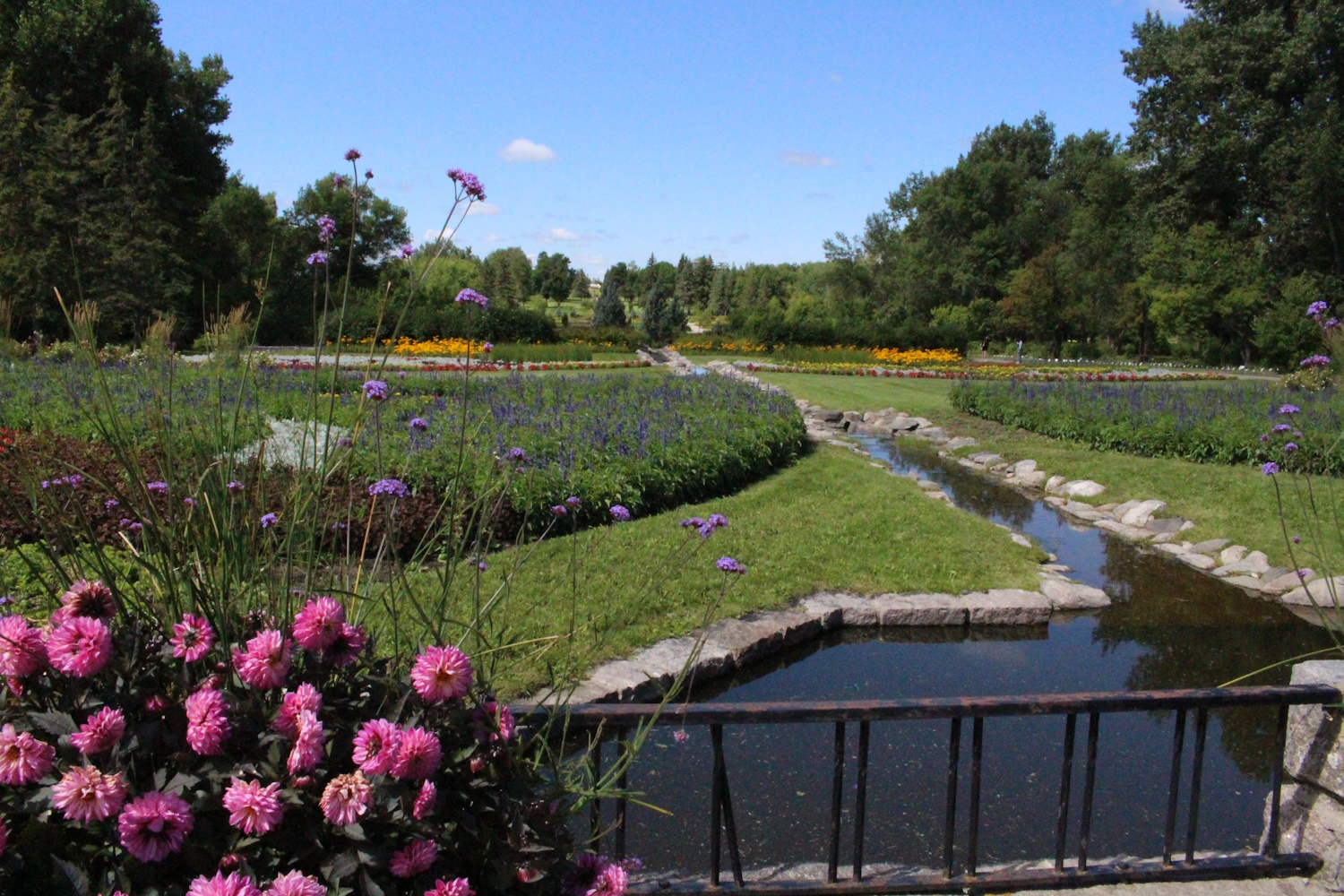 A FLOWER GARDEN