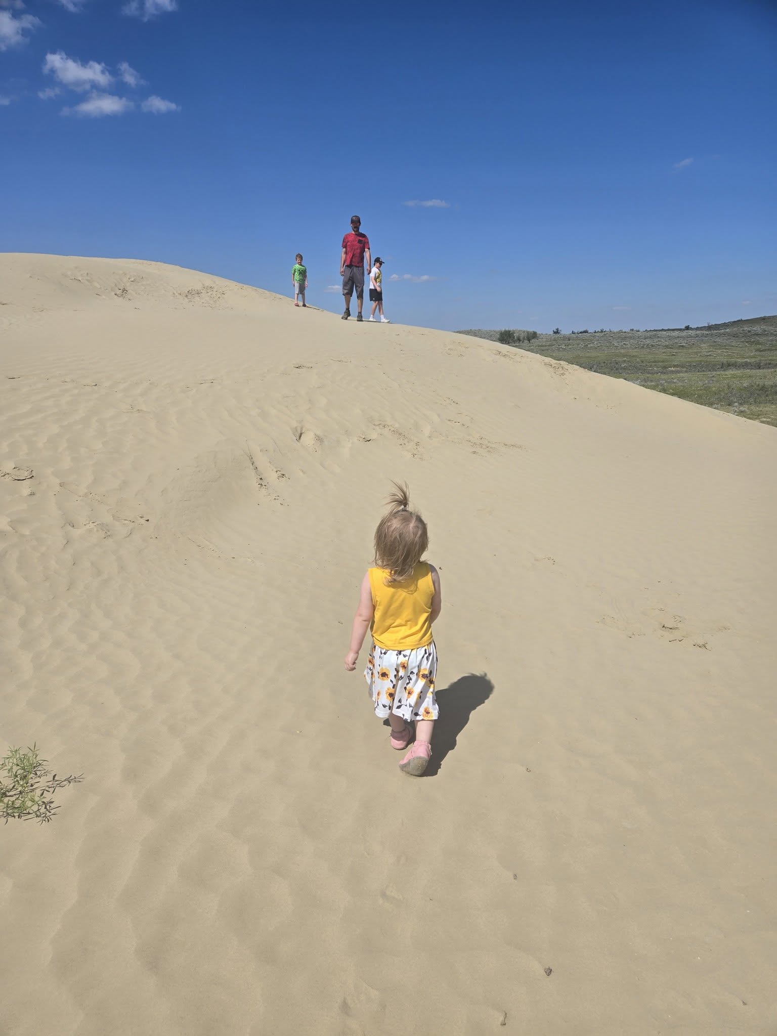 Celebrate Summer 2025 family fun