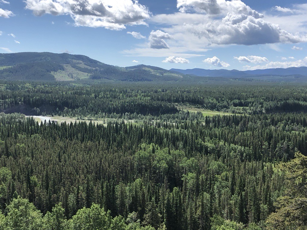Kananaskis_Lauren Meister