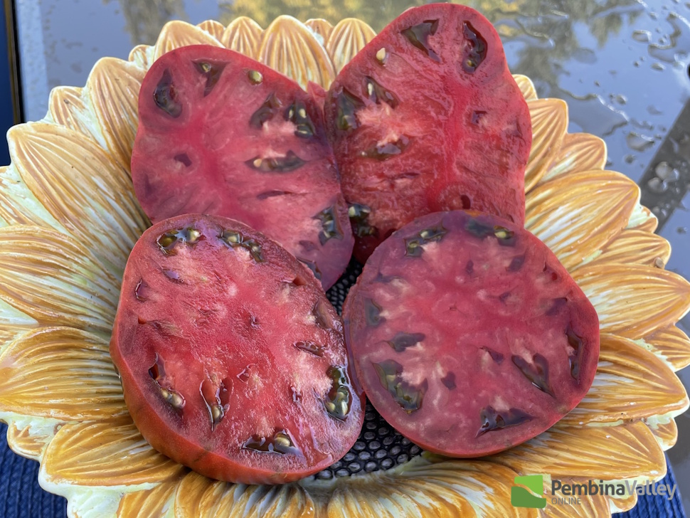 a cut tomato on a plate