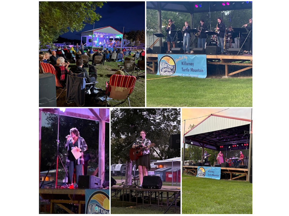 an outdoor concert in the evening in the summer time