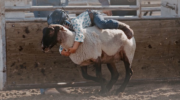 Kyle rodeo mutton bustin via Kyle and District Recreation.jpg
