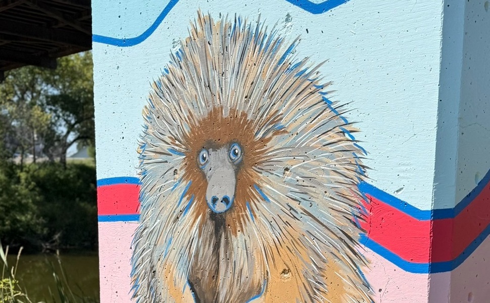The porcupine segment of the mural. (photo courtesy of the Swift Current Art Gallery on Facebook)
