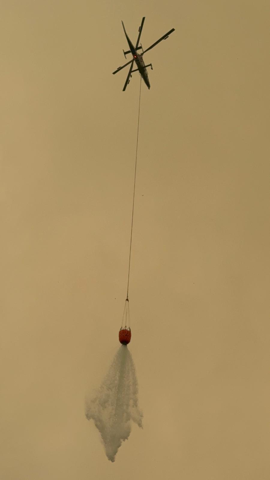 Northern Fires