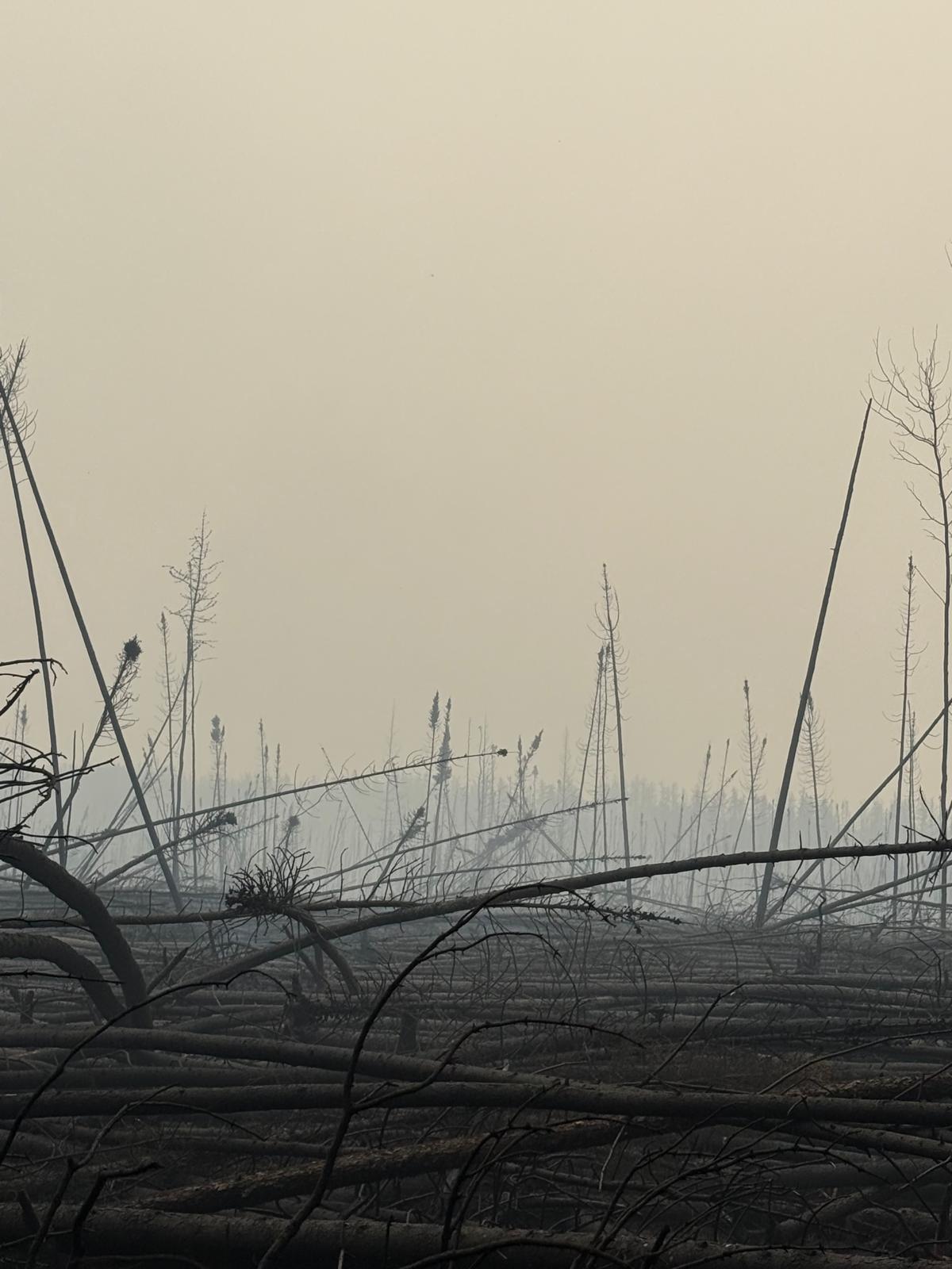 Northern Fires
