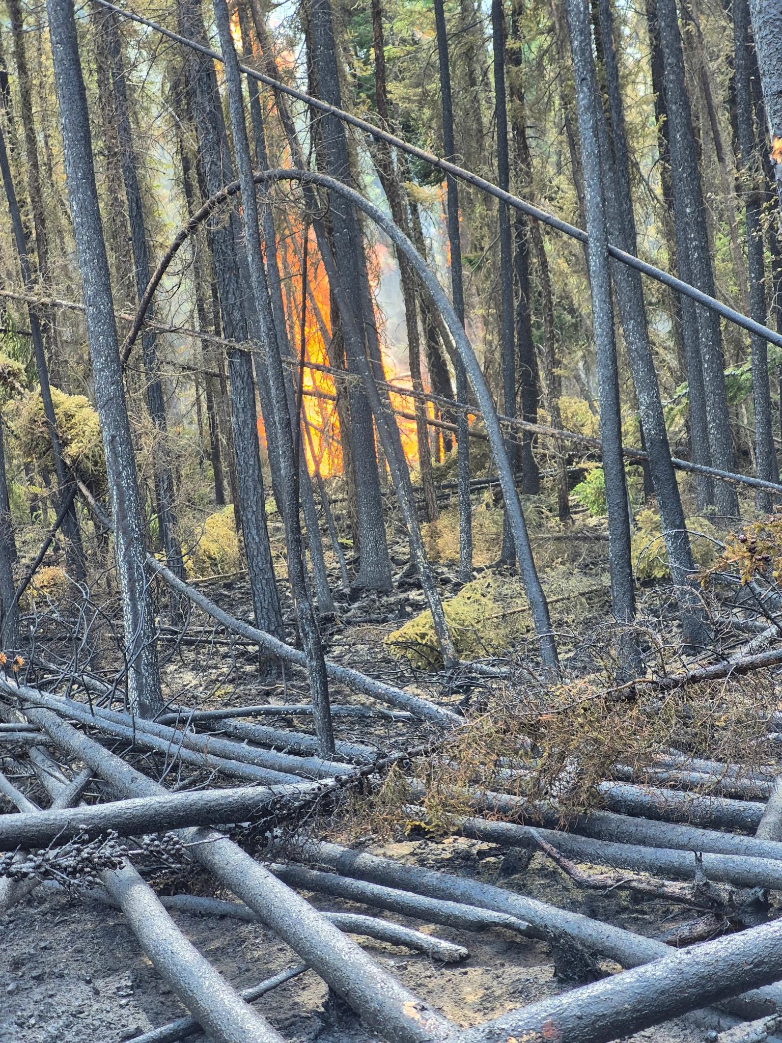 Northern Fires