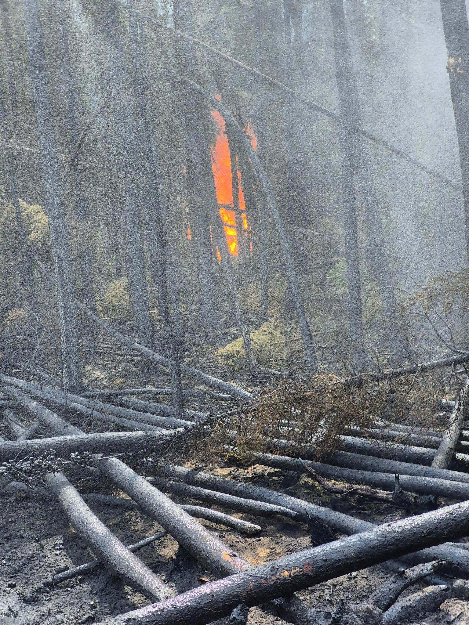 Northern Fires
