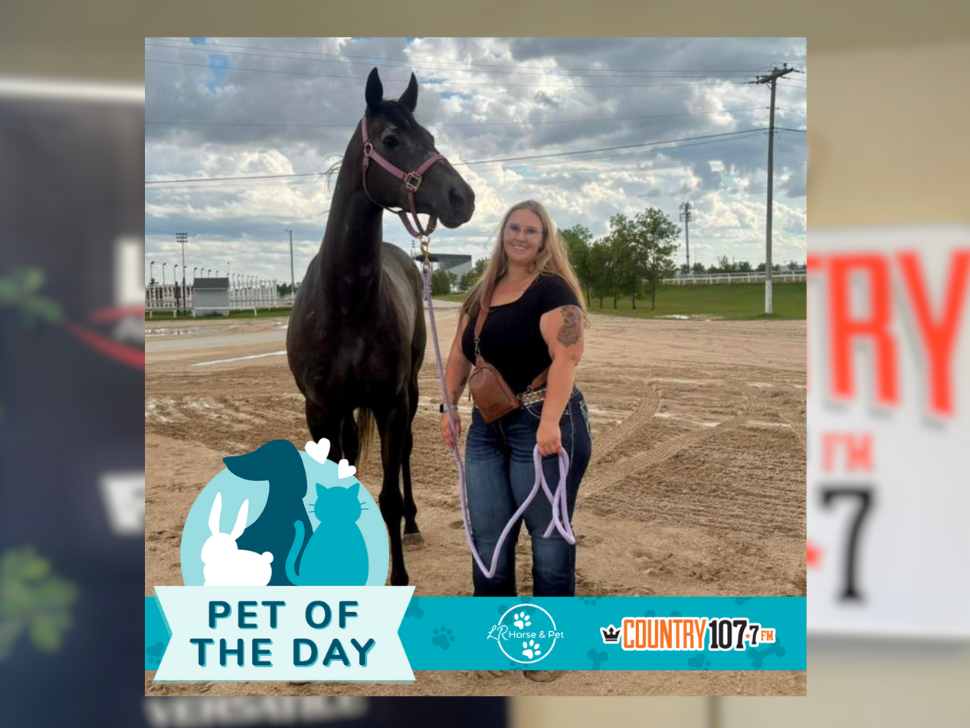 Congratulations to Brandi and her horse Merlot on winning the latest Pet of the Day!