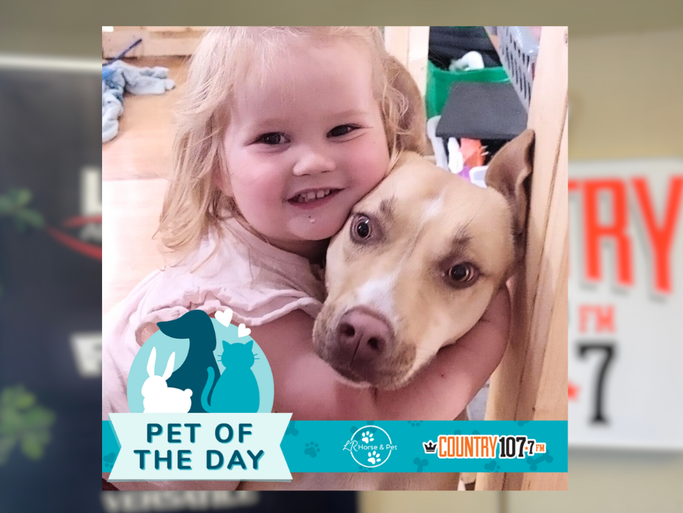  This photo of Lily and Dixie is our most recent winner of Pet of the Day!