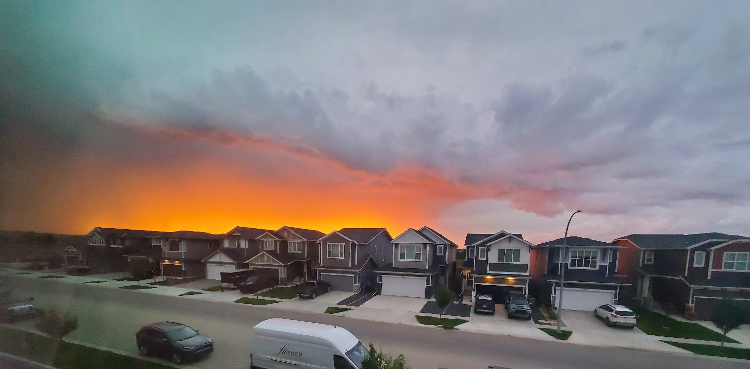 SUNSET_Linda Greengrass.jpg