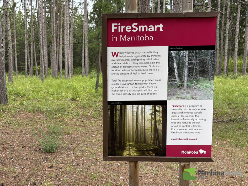 WILDFIRE PRECAUTION