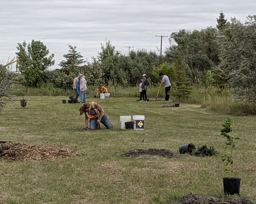 A group of people planting trees