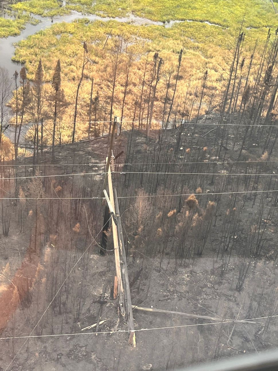 A wooden hydro pole is snapped and lays on charred ground with burned trees surrounding it