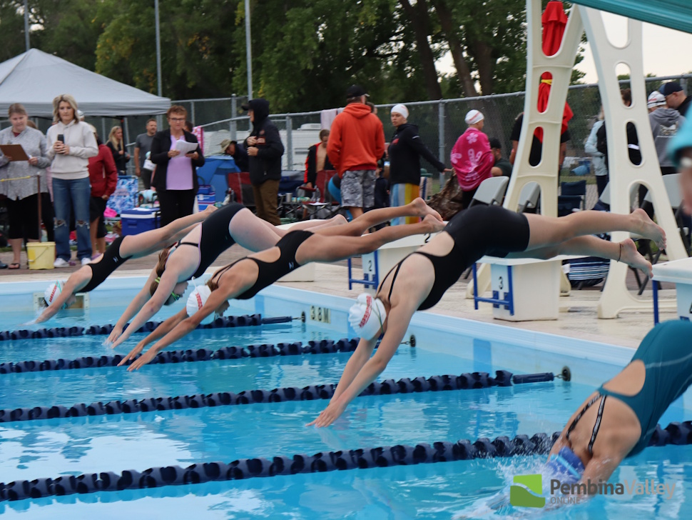 swimmers diving