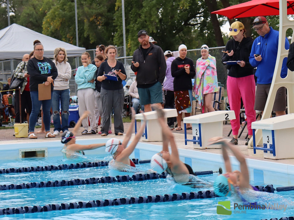 swimmers diving