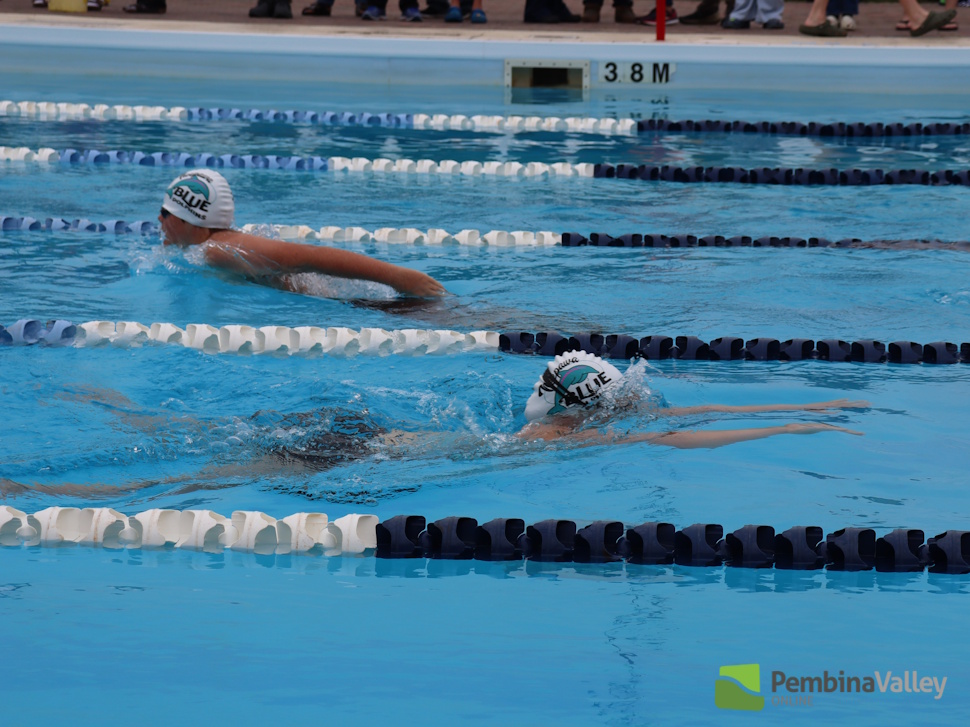 swimmers swimming