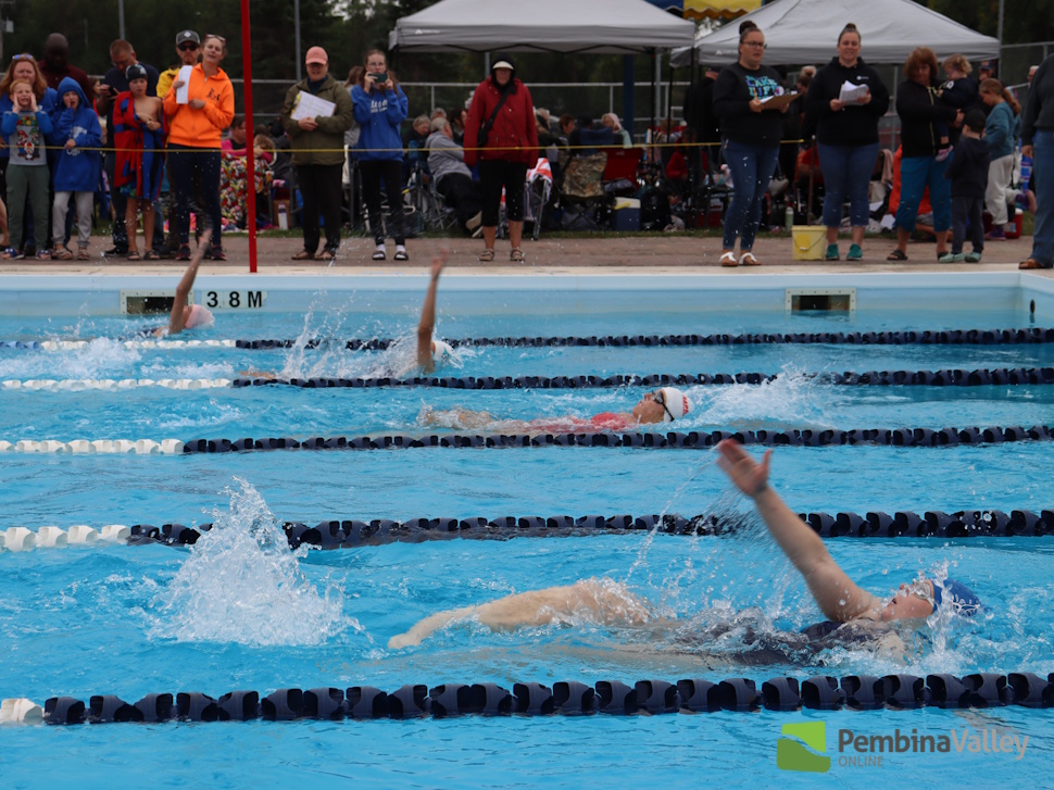 swimmers in lanes