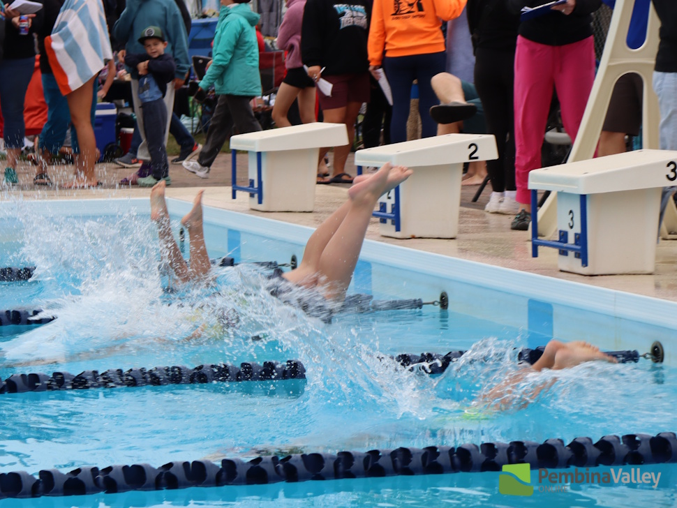 swimmers in water