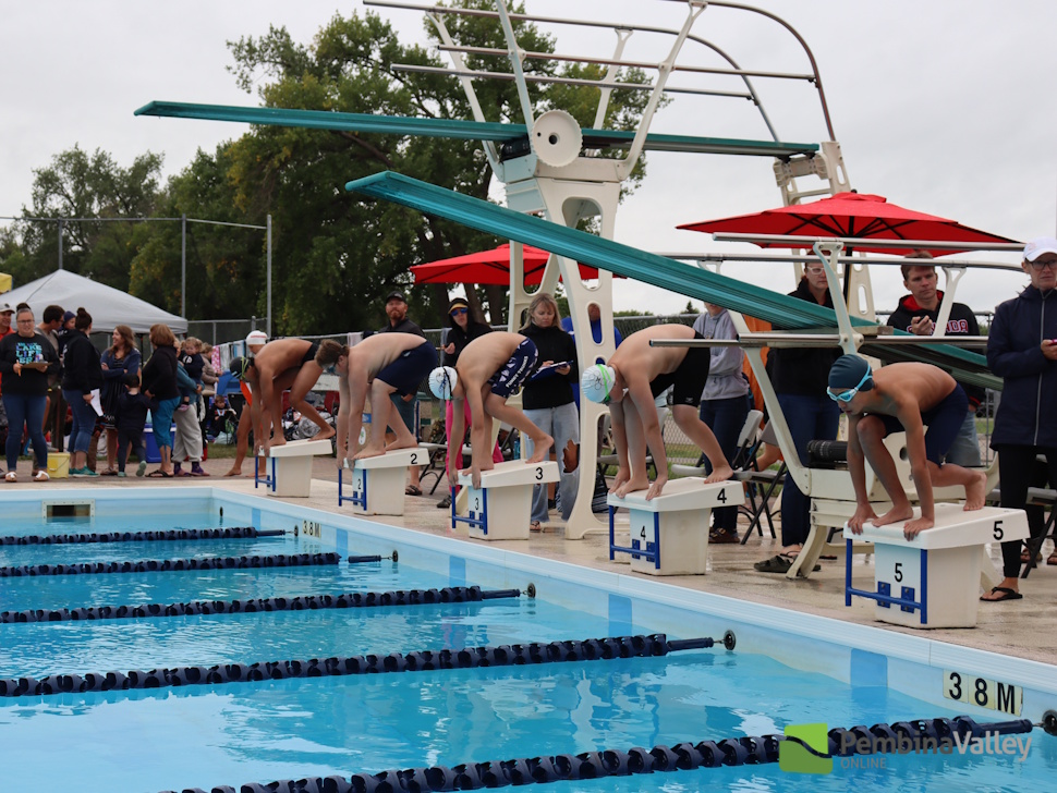 swimmers diving